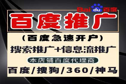专业SEM运营托管服务案例分析